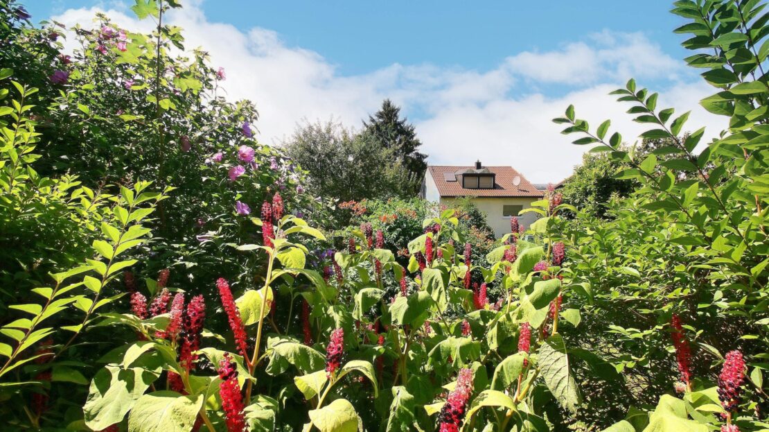 Blick von der Terrasse