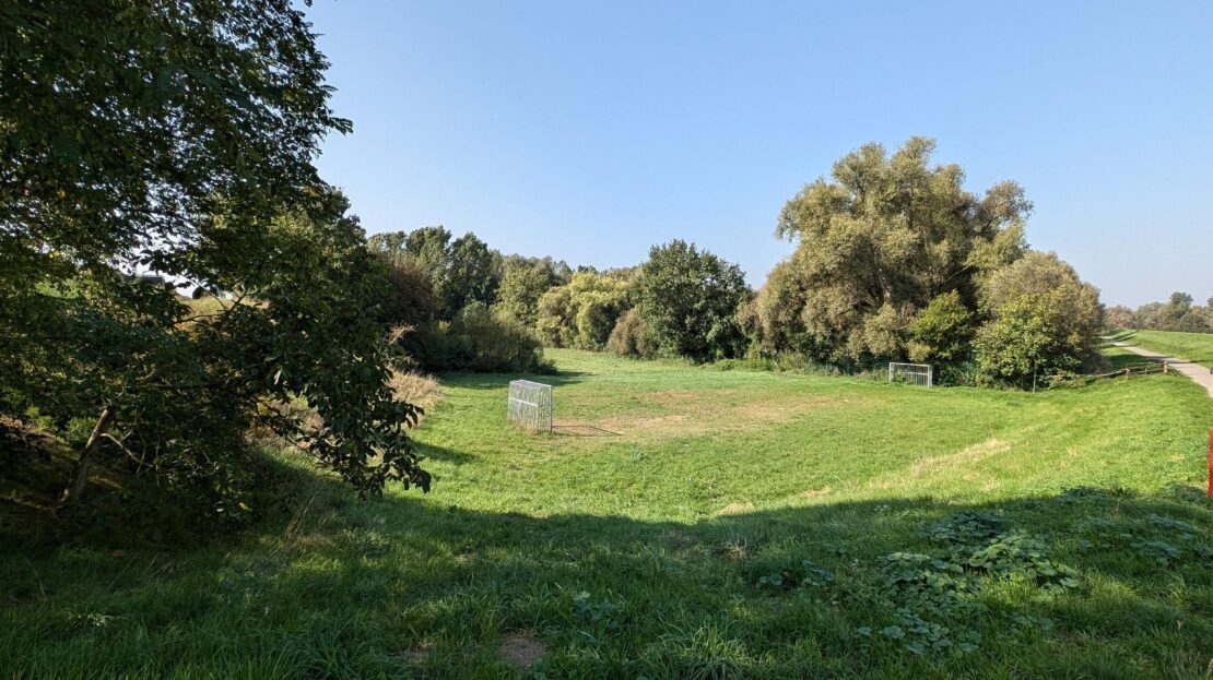 Naturschutzgebiet Backofen-Riedwiesen