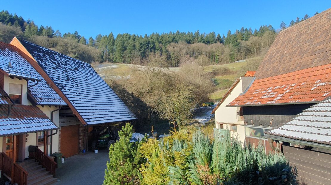 Ausblick aus dem Fenster