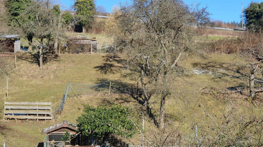 Ausblick auf die Weidefläche