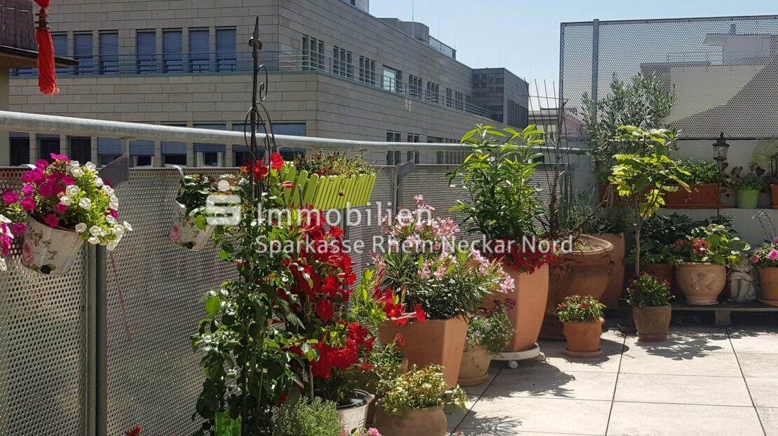 Dachterrasse