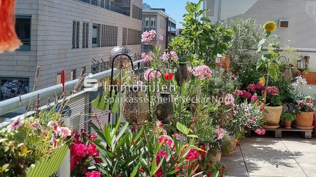 Dachterrasse