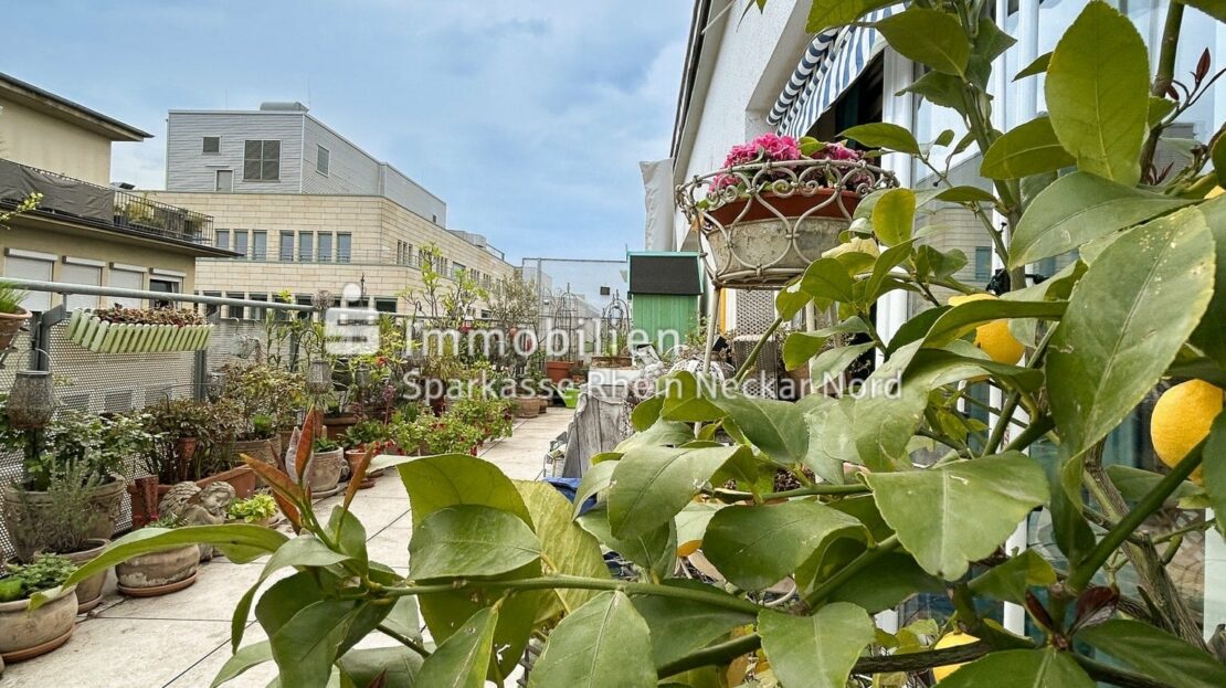 Dachterrasse