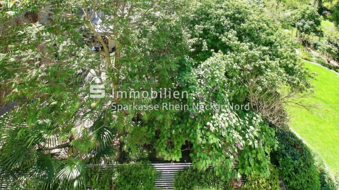Blick vom Wintergarten aus
