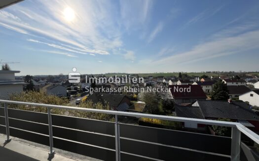 Blick vom Balkon über Worms Pfeddersheim