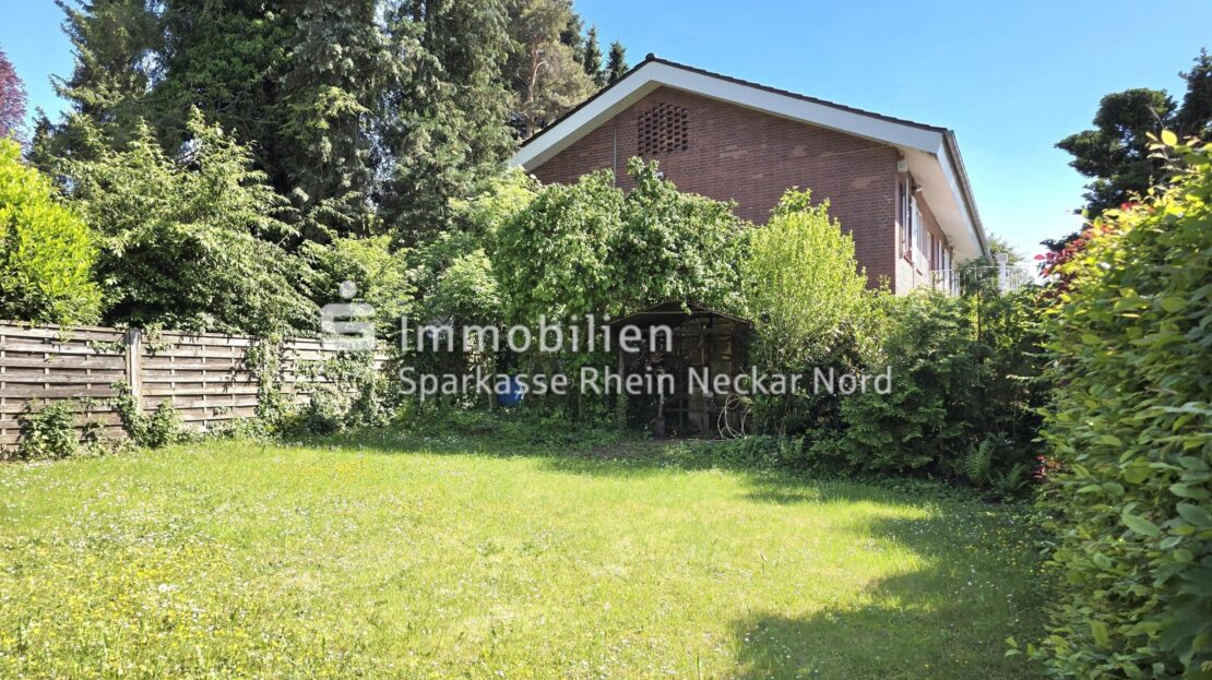Gartenansicht mit Rasenfläche