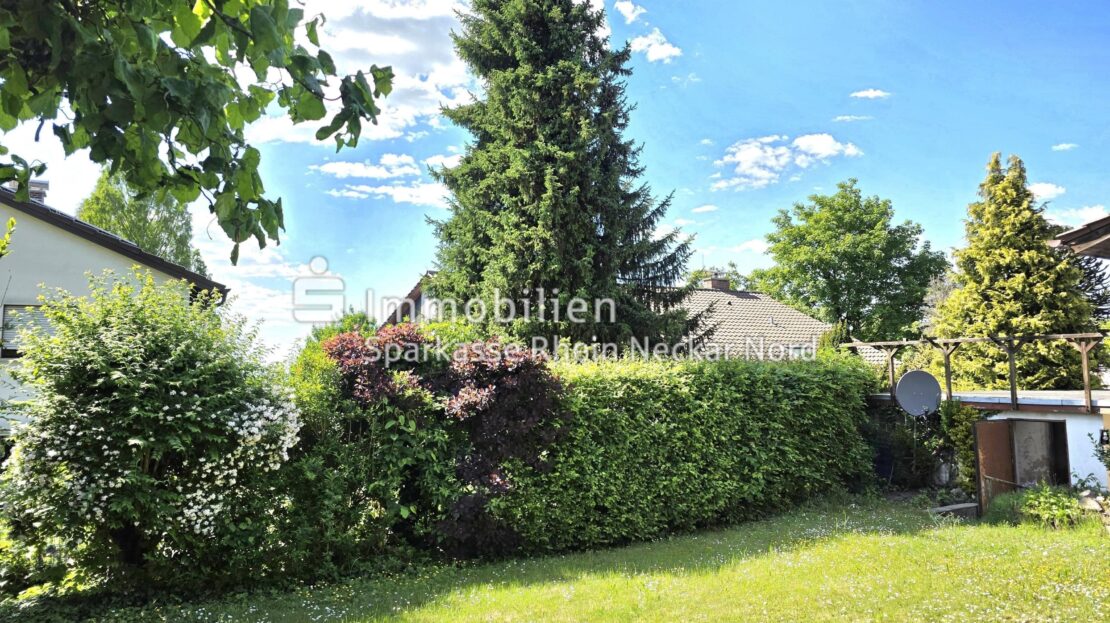 Garten mit Ziersträucher und Rasenfläche