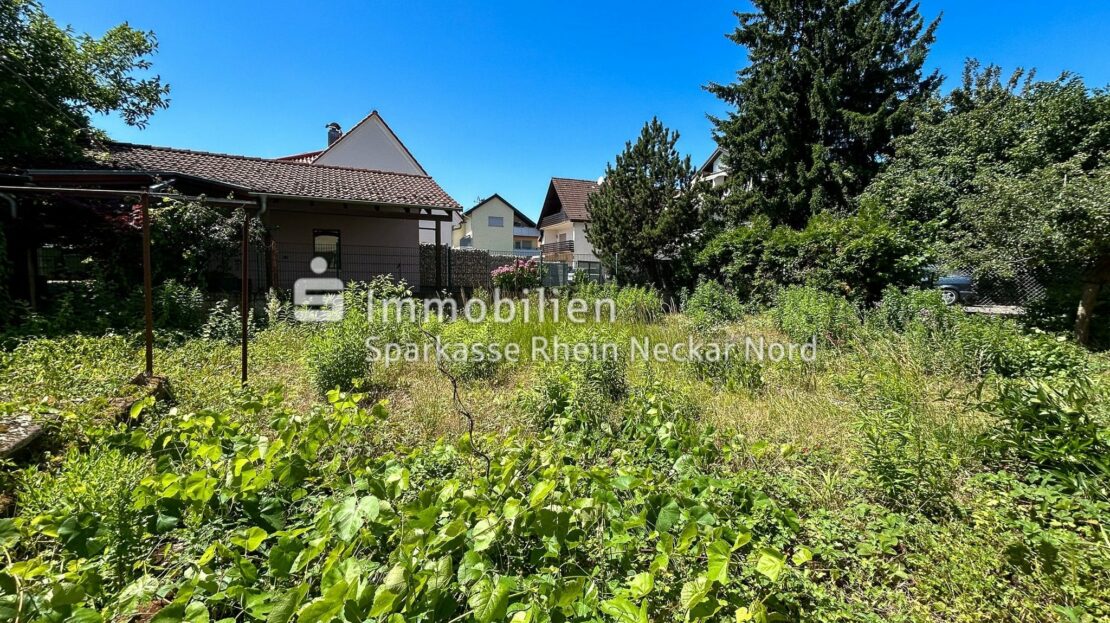 Großer, bewachsener Garten mit Bäumen