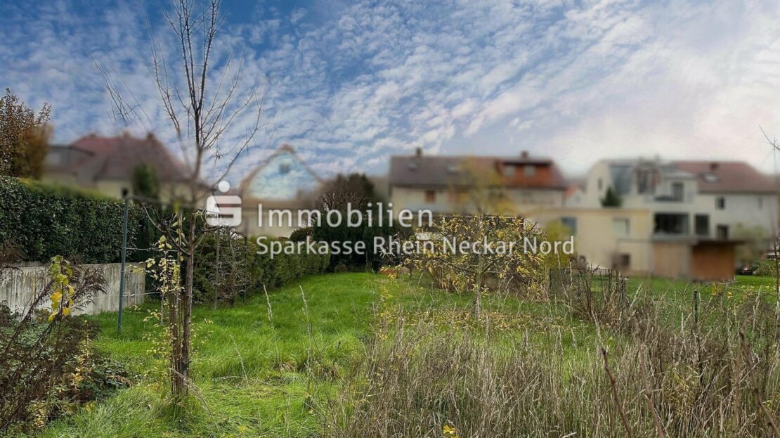 Blick vom Grundstück aus