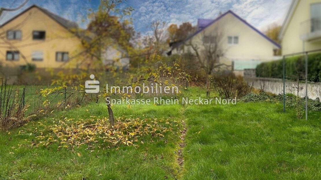 Blick zur Straße