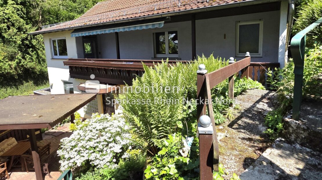 Blick auf Terrasse und Haus