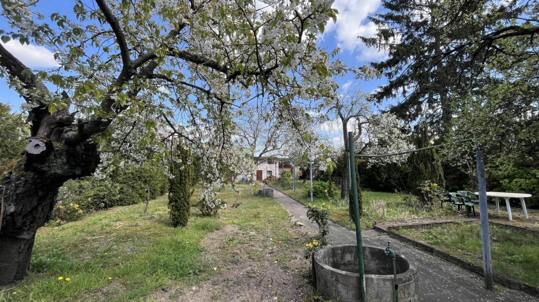 Garten Blick zum Nebengebäude