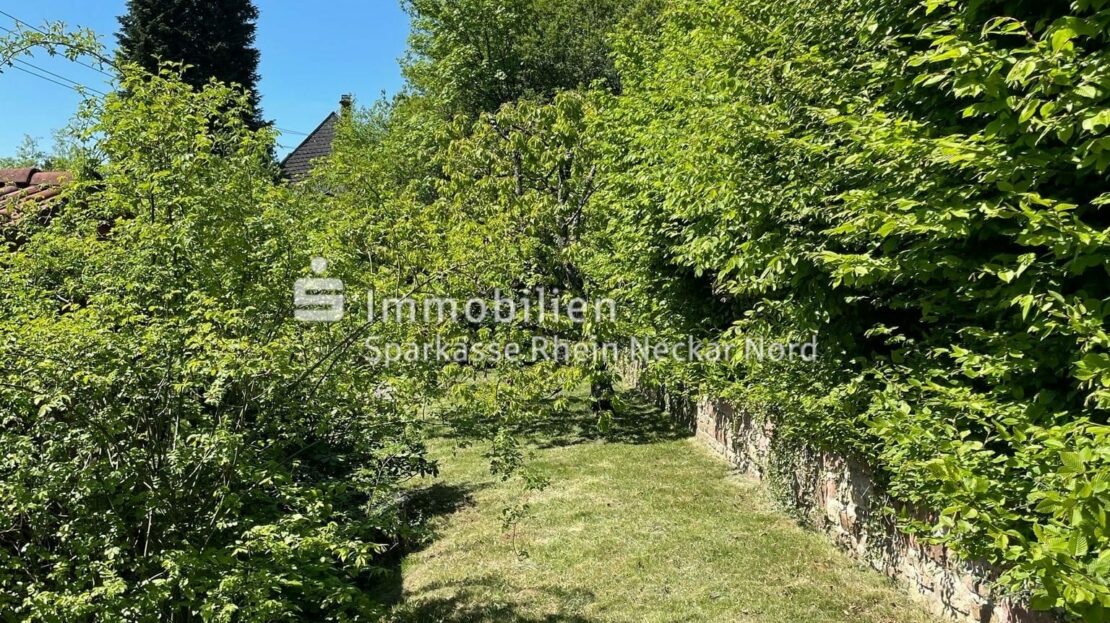 Gartenansicht Rückseite
