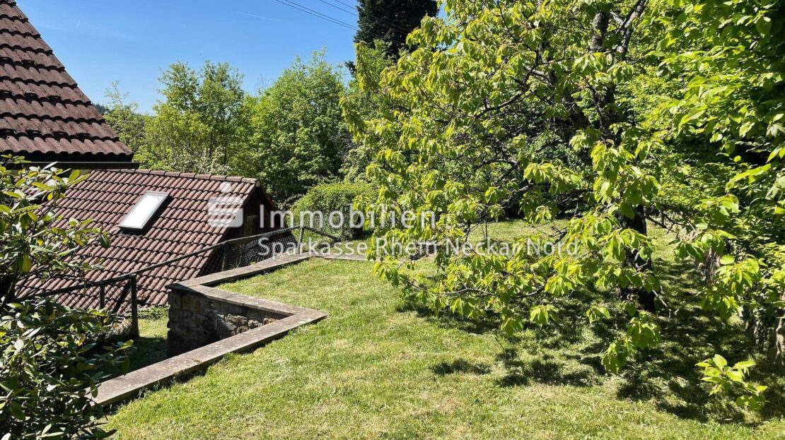 Gartenansicht von hinten