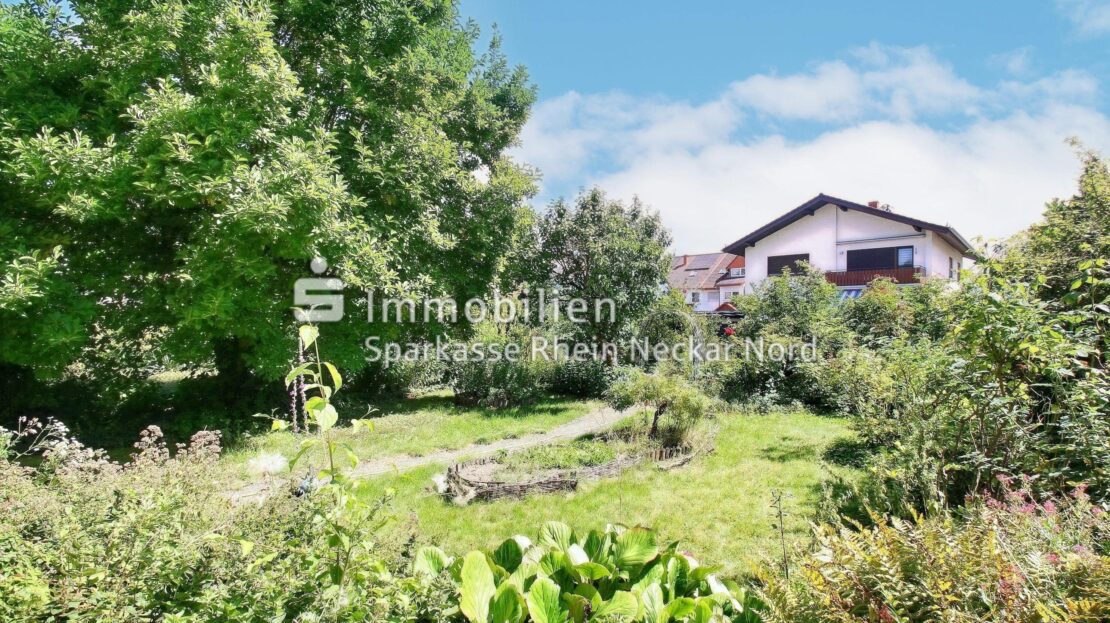 Blick ins Grüne
