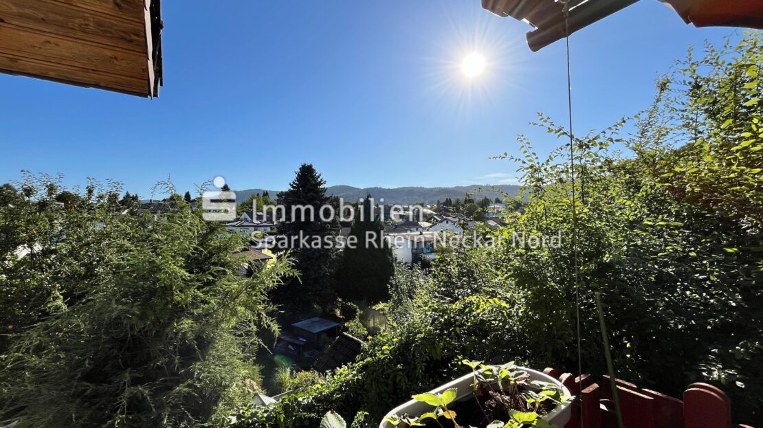Ausblick vom Balkon