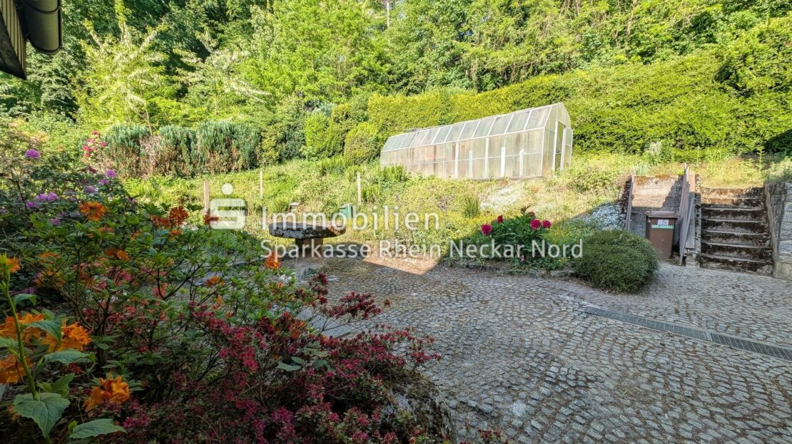 Vorplatz mit Blick Richtung Gewächshaus