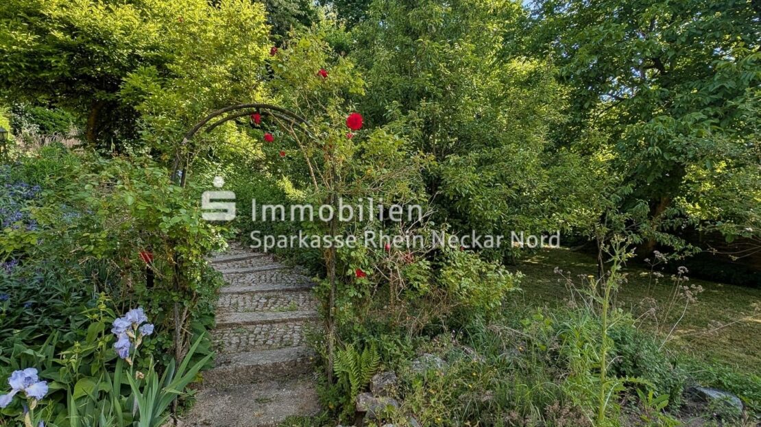 Gartenidylle mit viel Pflanzenbestand