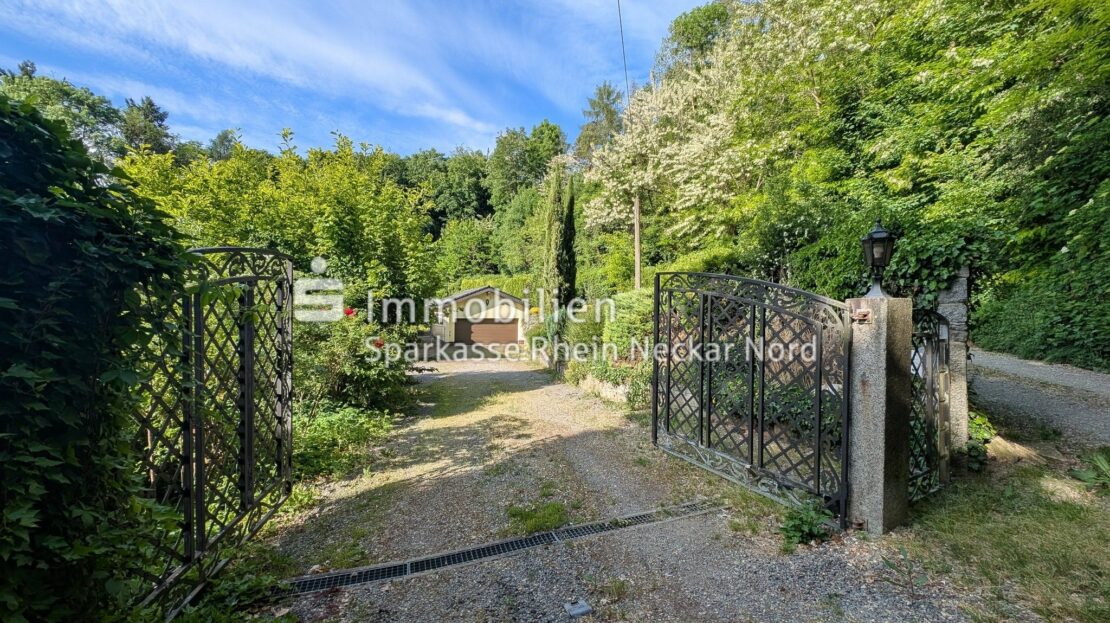 Einfahrt mit Blick auf die Doppelgarage