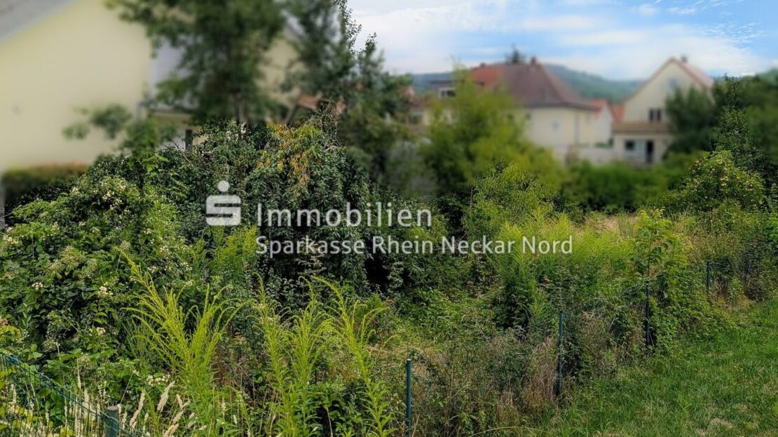 Die Bergstraße im Hintergrund