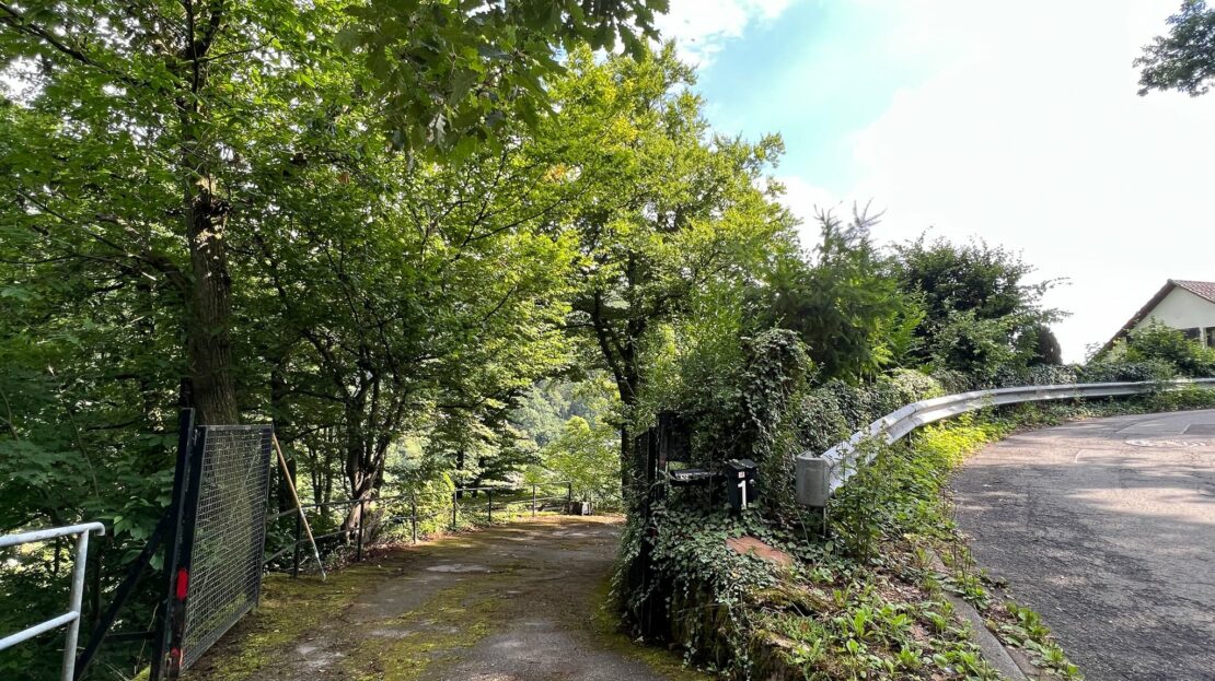 Zufahrt zum Haus