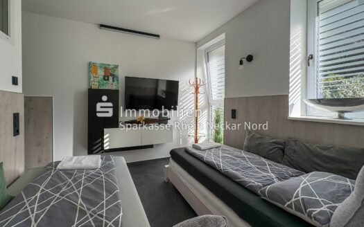 Eigentumswohnung in Mannheim-Lindenhof