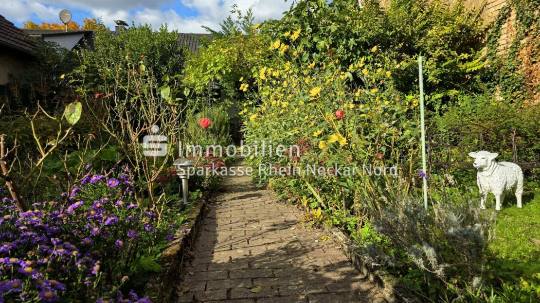 blühender Gartenweg