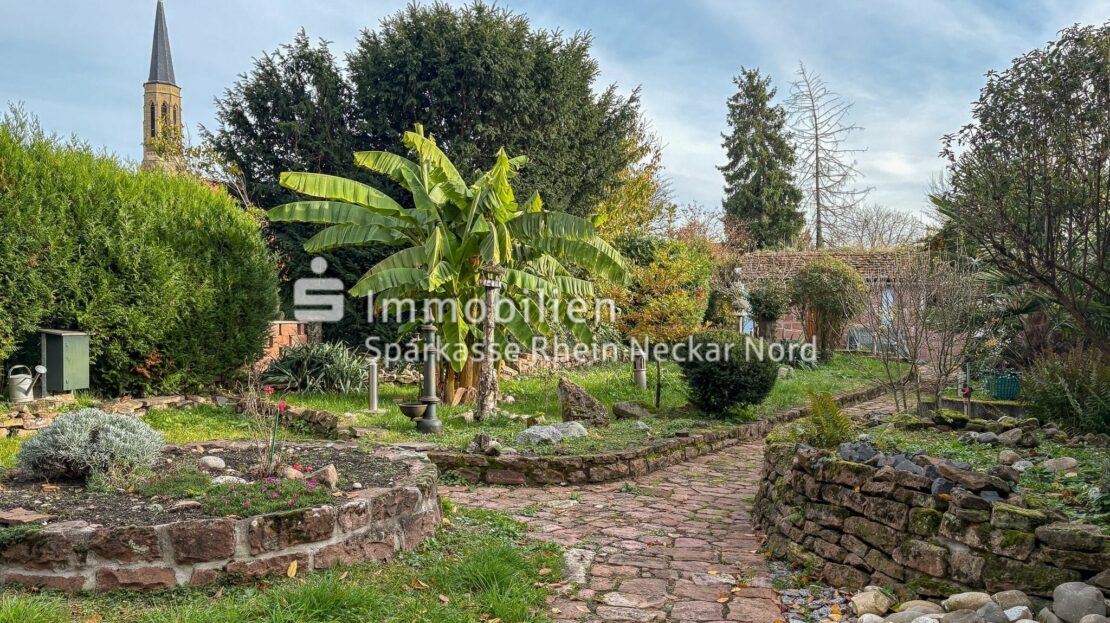 Blick in den eigenen Garten