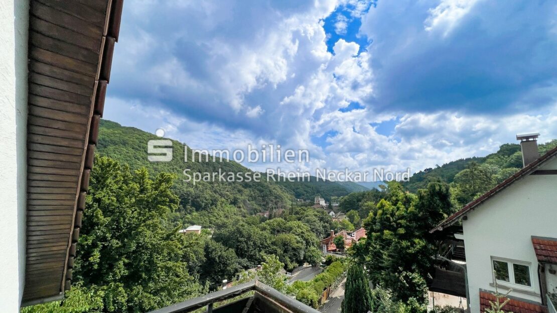Blick vom Balkon im OG