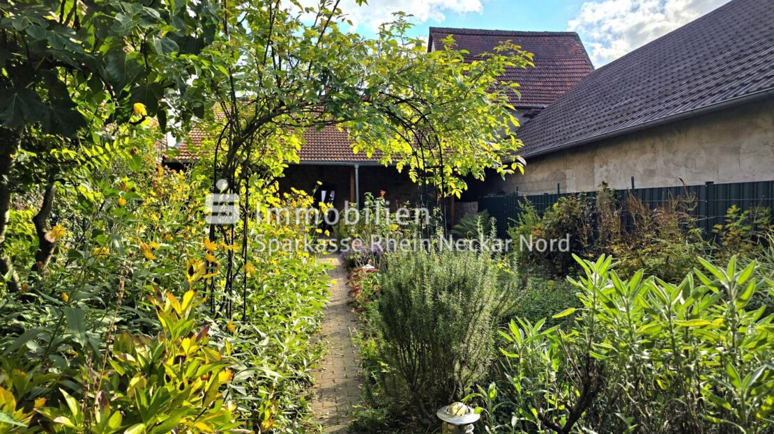 blühender Gartenweg