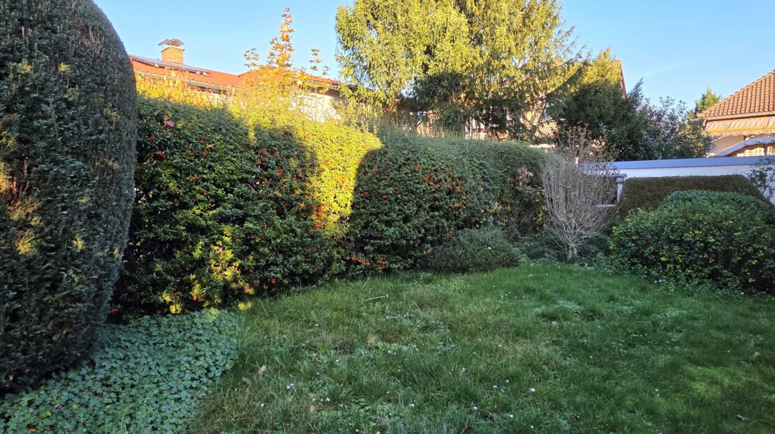 Gartenansicht von hinten