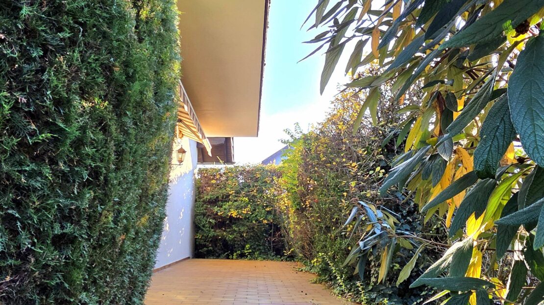 Blick vom Garten auf Terrasse