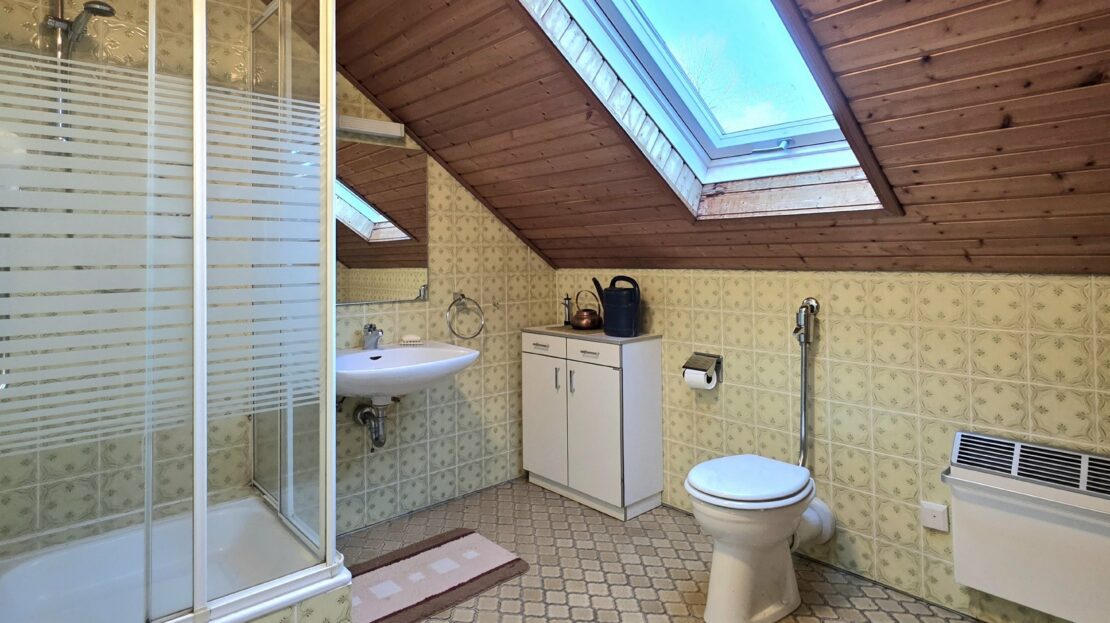 Tageslicht-Duschbad DG