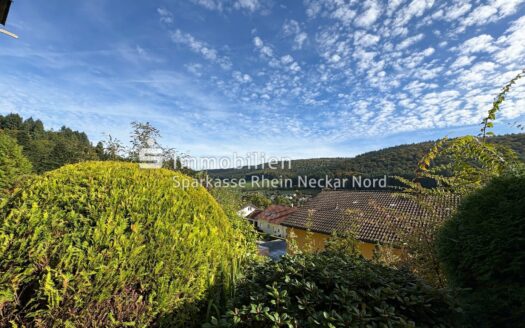 Freistehendes Einfamilienhaus in Heiligkreuzsteinach