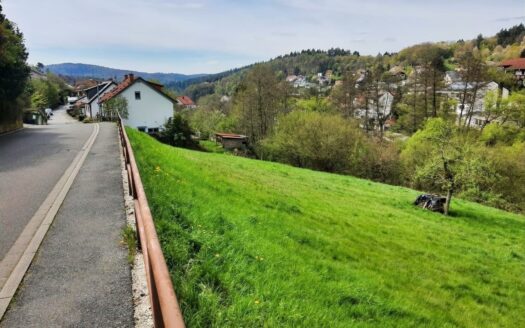 Bauplatz in Schriesheim- Altenbach – OST