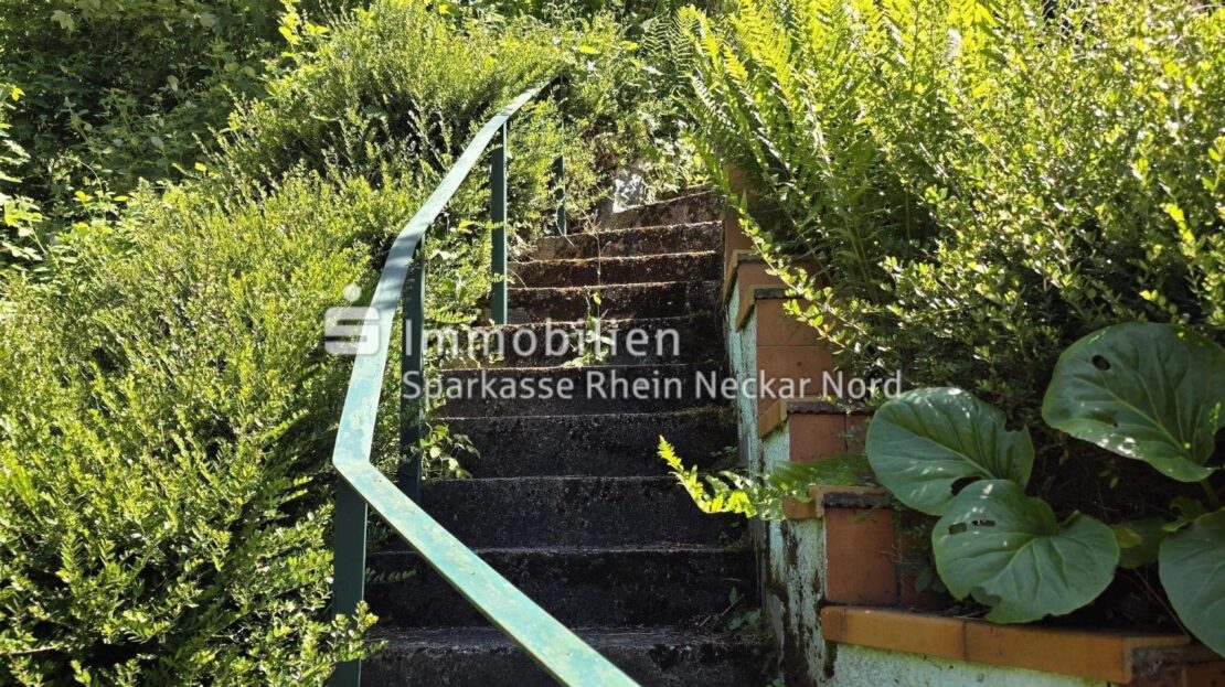 Gartentreppe nach oben