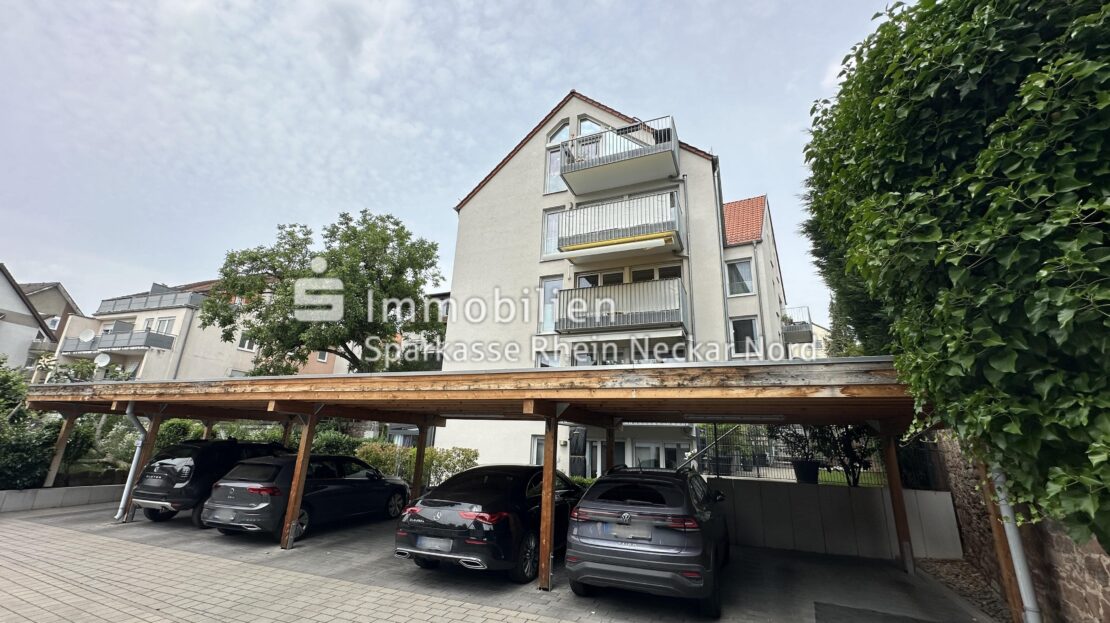 12 Carports u. Rückansicht