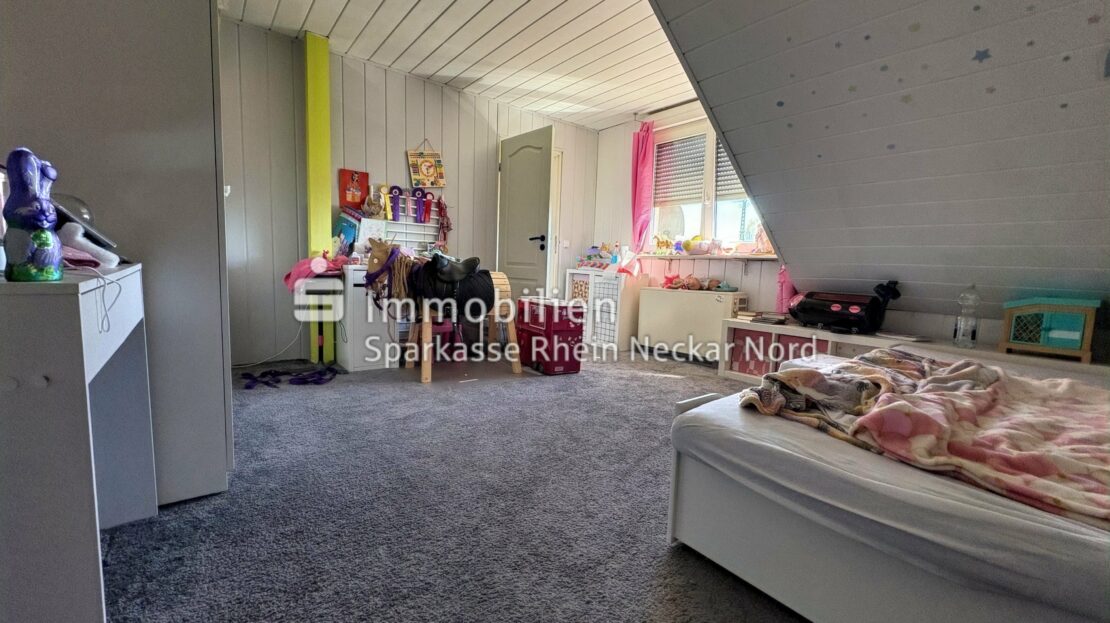 Zimmer DG