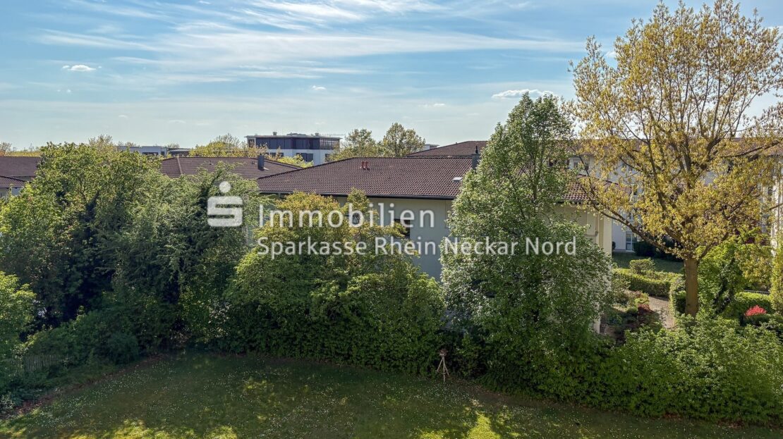 Blick in den Garten