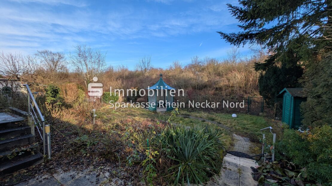 Blick in den Garten