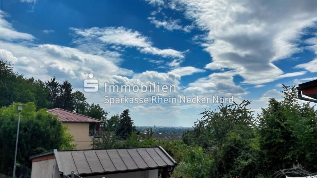 Blick Richtung Rheinebene