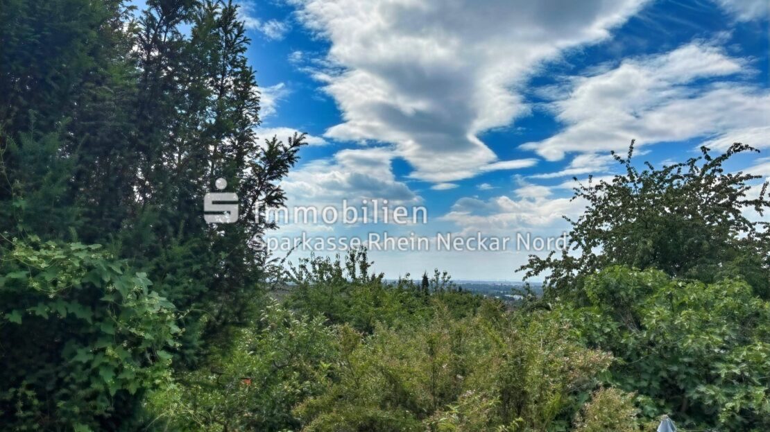 Blick Richtung Rheinebene