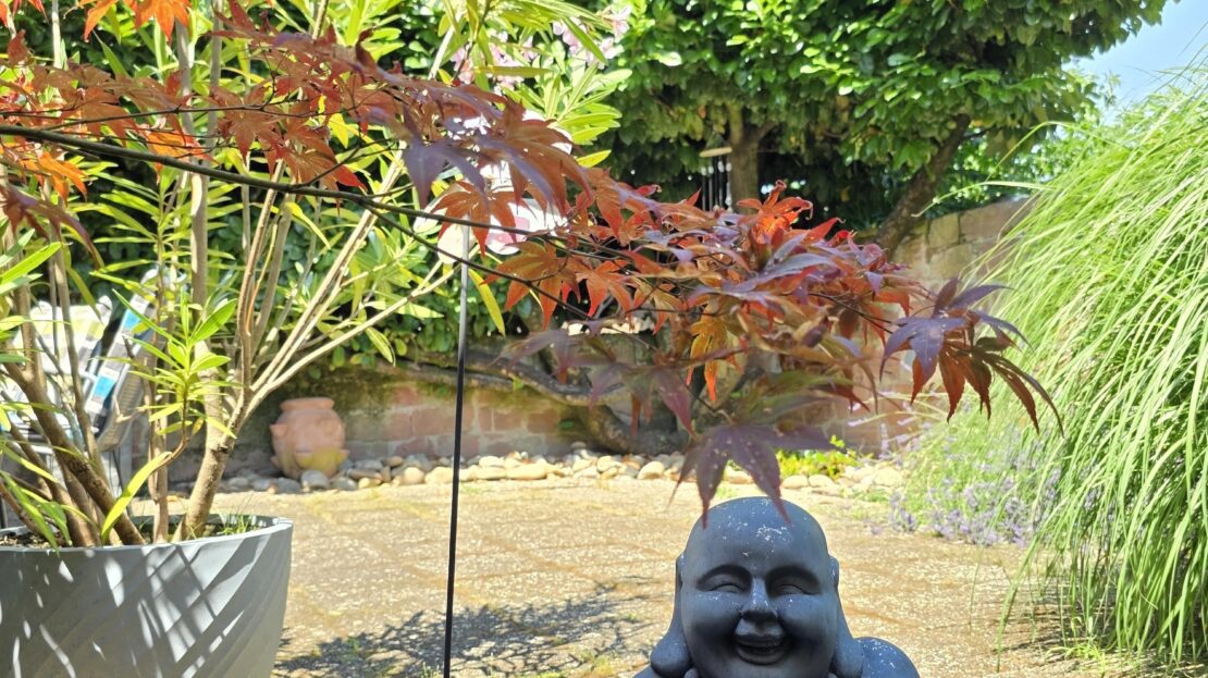 Garten von hinten