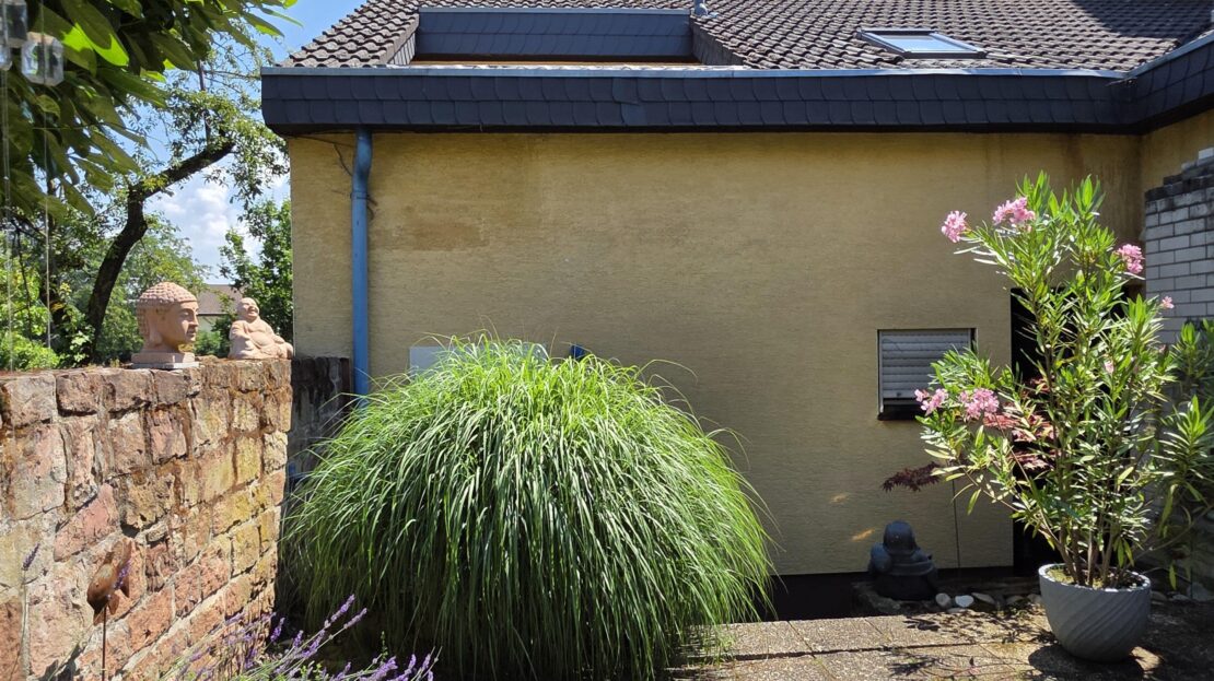 Garten von hinten