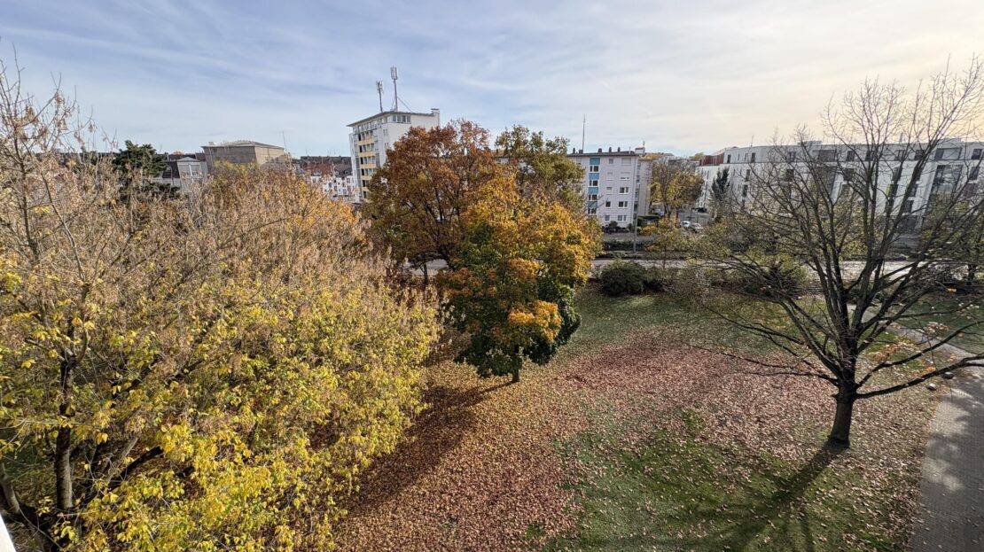 Blick vom Balkon hinten