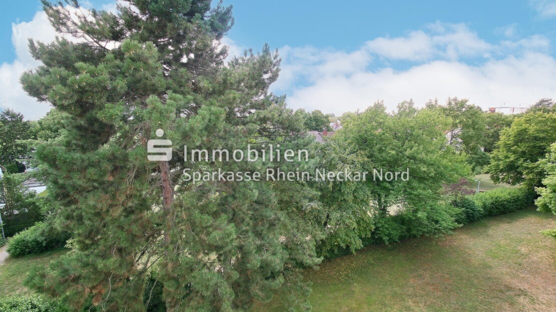 Blick vom Balkon ins Grüne
