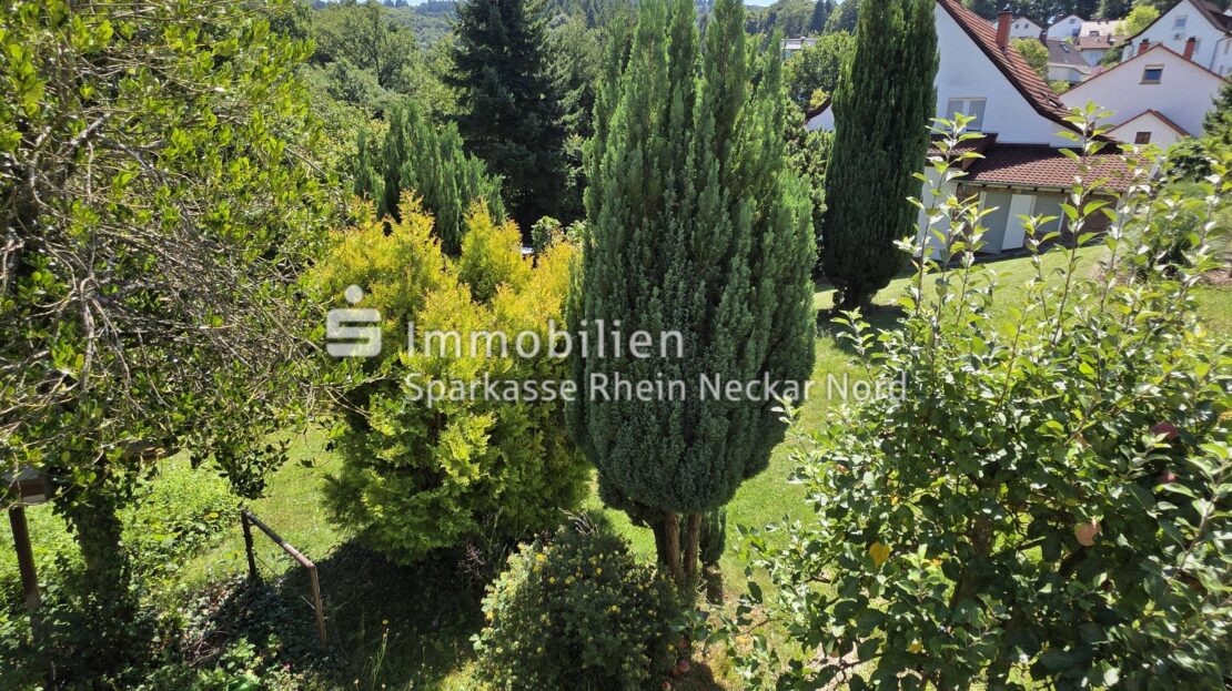 Blick über den Garten
