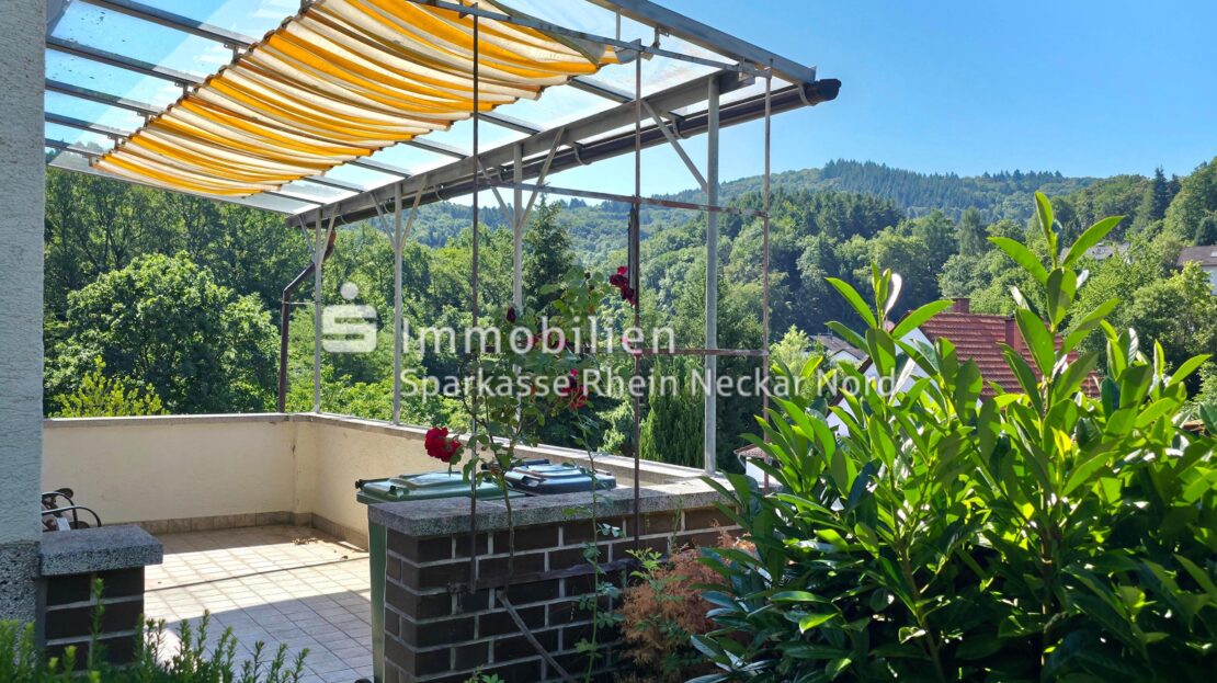 seitlicher Eingang Terrasse