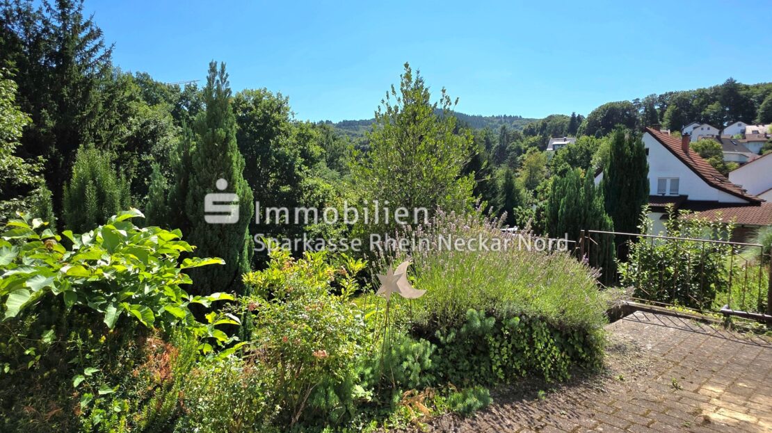 Garten von hinten