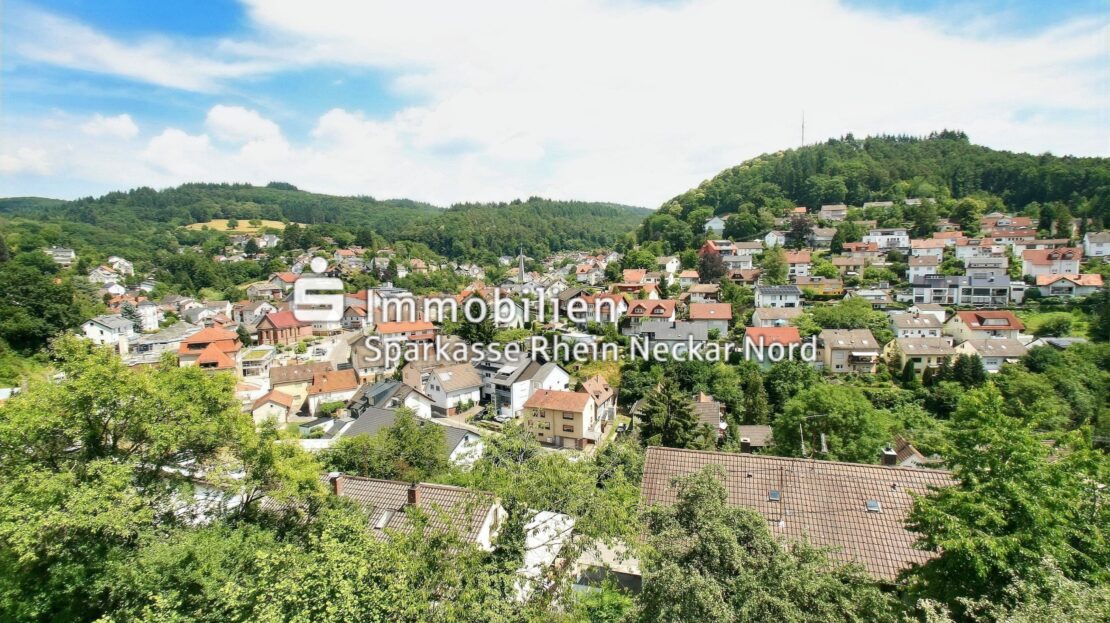 Blick vom Balkon EG
